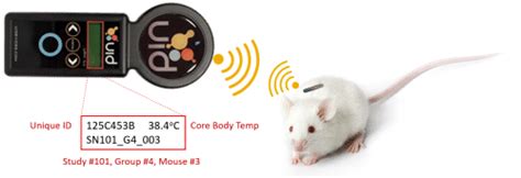 rfid mouse lab